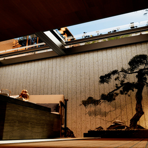 Starry Sky Series 95 Sunshine Room