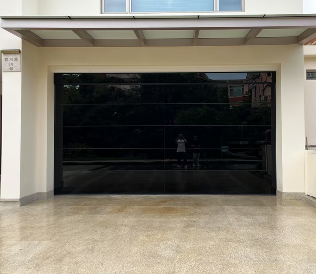 Concealed frame glass perspective door