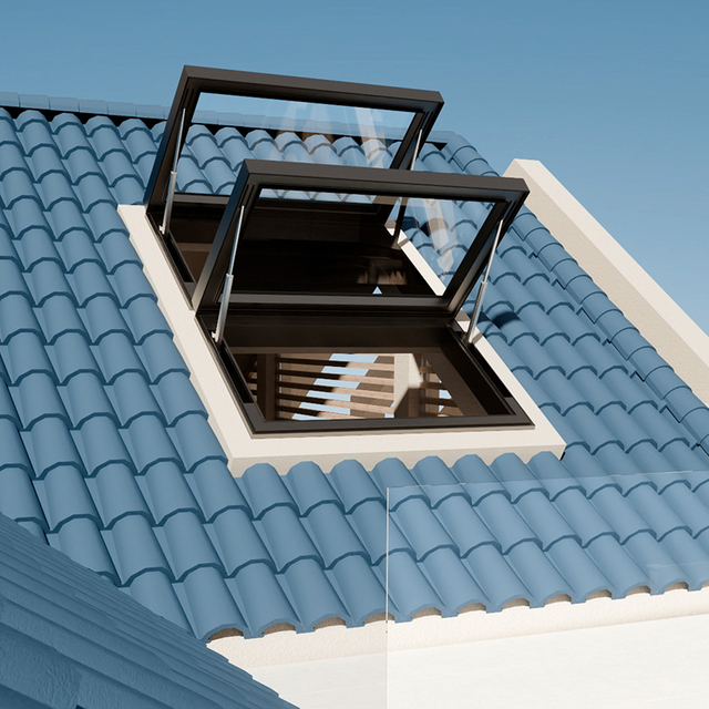 Starry Sky SeriesUpper Suspended Skylight