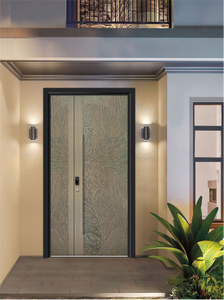 Custom single-opening front door